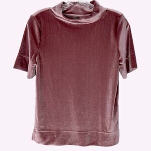 Anthropologie Rose Mock Neck Velvet Top